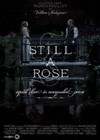 Still a Rose (2015).jpg